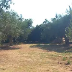Appartamento Lena